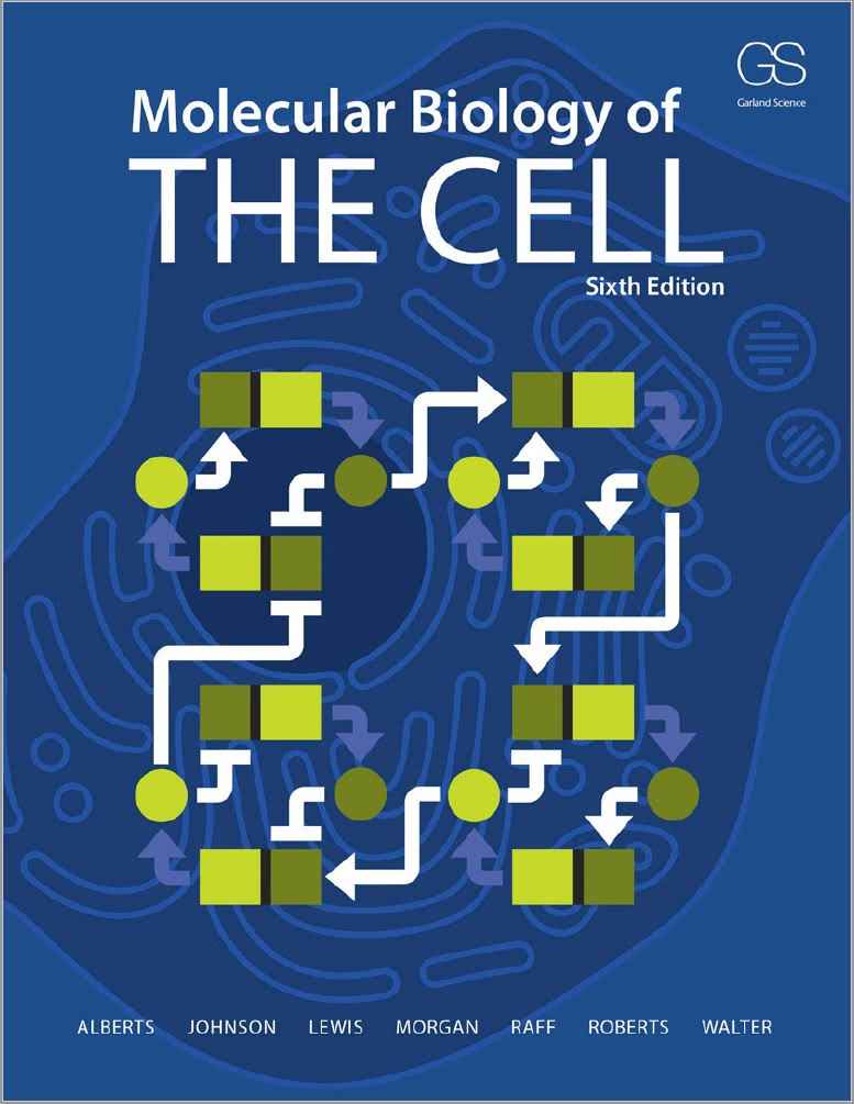 molecular-biology-of-the-cell-sixth-edition-bruce-alberts-68d8ead9b4703.jpg