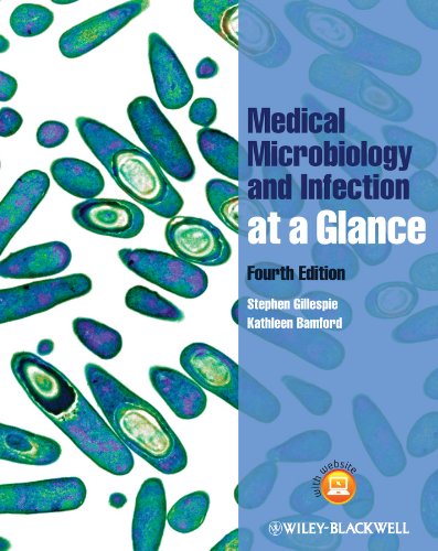 medical-microbiology-and-infection-at-a-glance-4th-edition-68ed6e275b266.jpg
