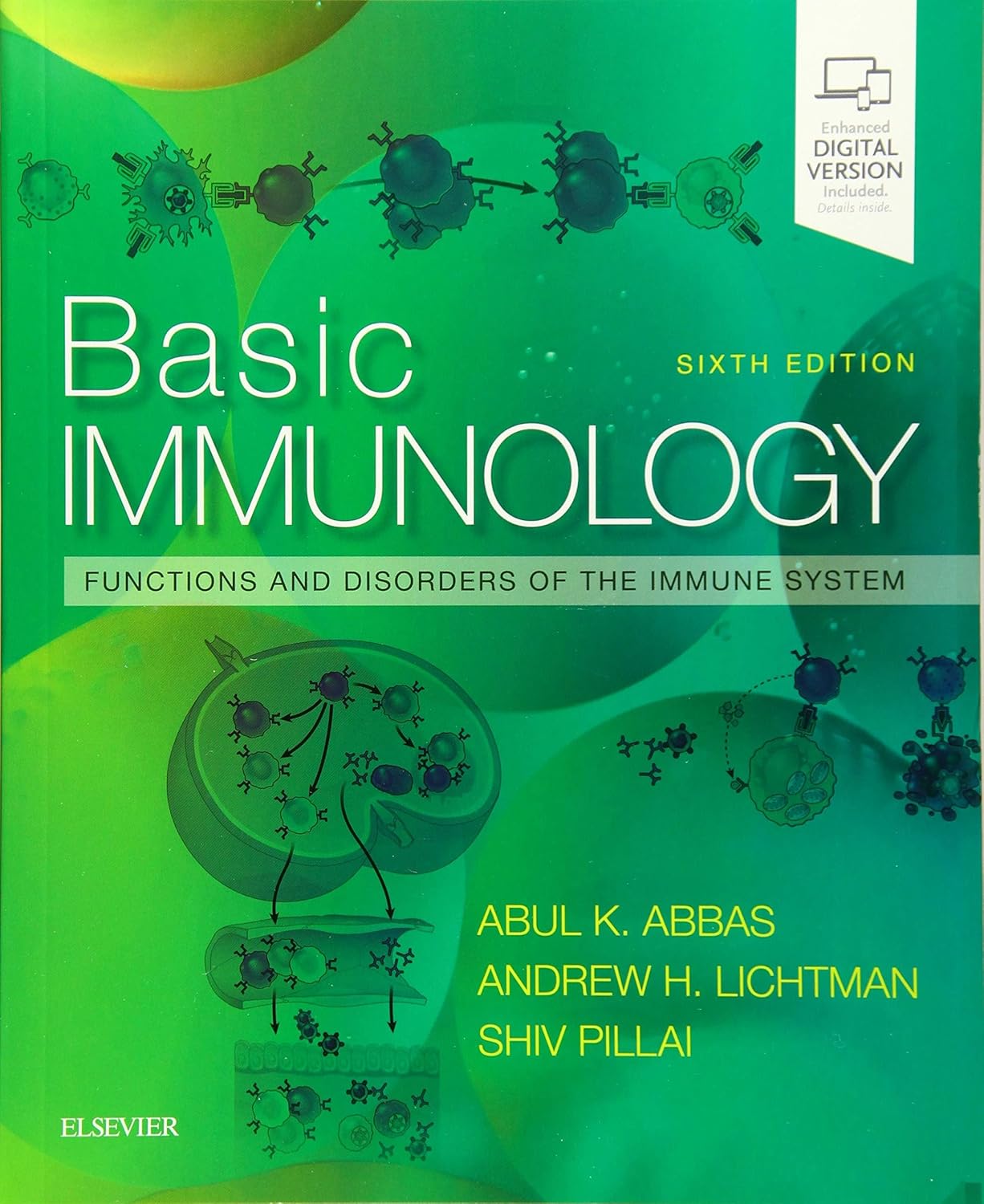 basic-immunology-functions-and-disorders-of-the-immune-system-6th-edition-68f48573e997a.jpg