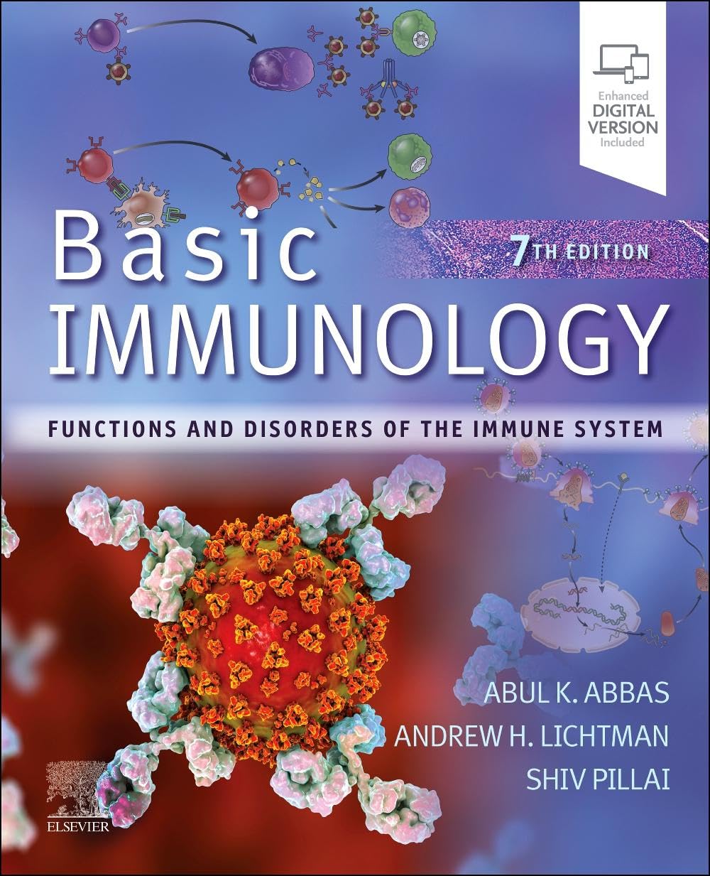 basic-immunology-functions-and-disorders-of-the-immune-system-7th-edition-68f553252d5b6.jpg