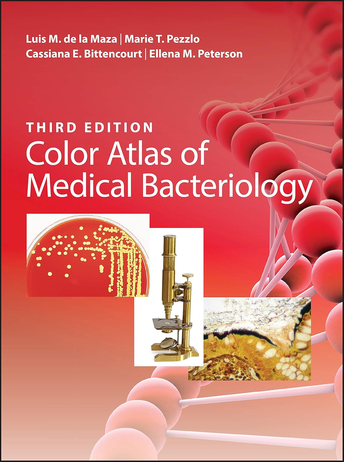 color-atlas-of-medical-bacteriology-asm-books-3rd-editioni-68f4b032234a2.jpg